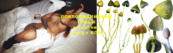 мяу мяу мука Абинск