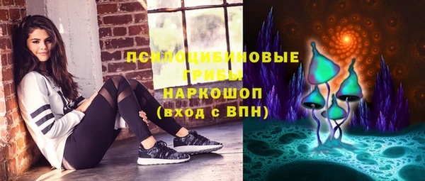 прущие крисы Абаза