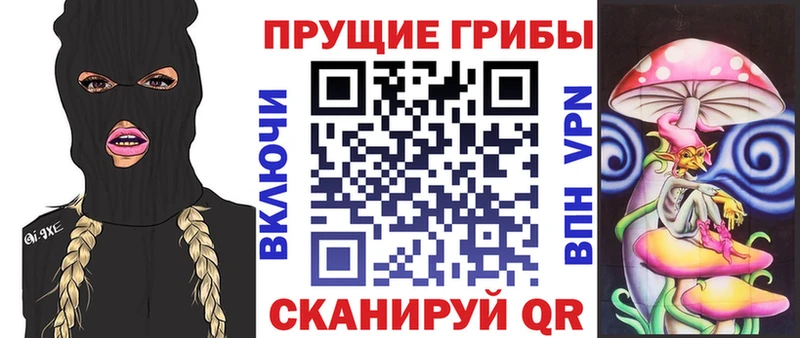 Псилоцибиновые грибы мухоморы  Петров Вал 
